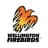 Wellington Firebirds-logo