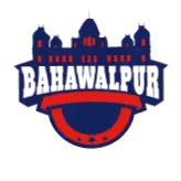 Team logo